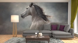 Fotobehang van een mooi wit paard op een donkere achtergrond